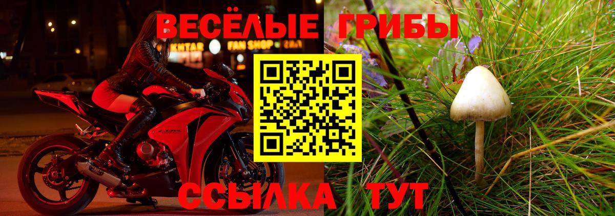 Псилоцибиновые грибы Psilocybine cubensis Ейск